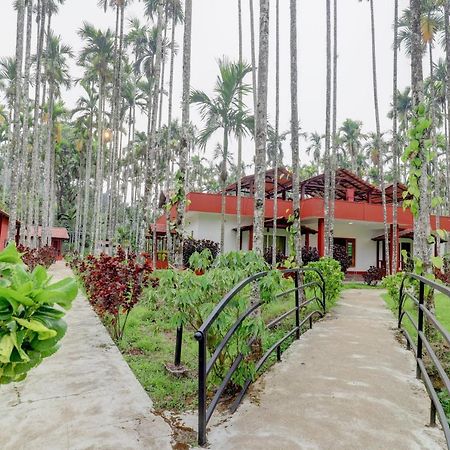 Ezzenza Areca Resort Madikeri Luaran gambar
